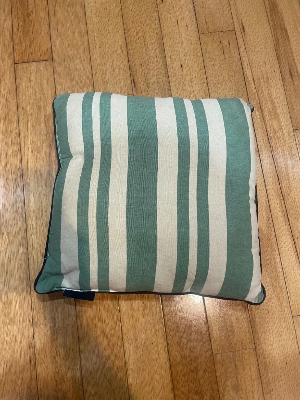 Dog throw pillow